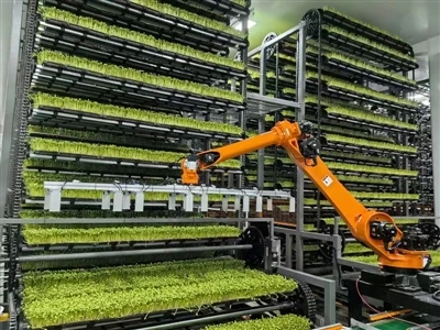 Les màquines d'automatització i els robots de manipulació lideraran una nova ...